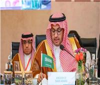 السعودية تُسخّر إمكاناتها للإسهام في تعزيز مكتسبات القطاع الثقافي 