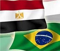 الإحصاء:545.97 مليون دولار صادرات مصر للبرازيل 