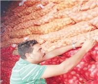طفرة غير مسبوقة: 900 ألف طن حجم صادرات البطاطس
