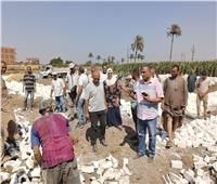 رئيس أشمون يقود حملة مكبرة لإزالة حالة تعدي على أرض زراعية بقرية البرانية