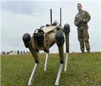 الجيش الأمريكي يدرس تجهيز الكلاب الآلية بسلاح فرقة متطور