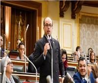 برلماني: إقرار الأمم المتحدة بإسهامات منتدى شباب العالم يعزز رؤية مصر