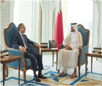 السفير المصري في الدوحة يلتقي وزير الداخلية القطري