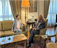 وزير الخارجية الياباني : مصر شريك استراتيجي مهم بالمنطقة 