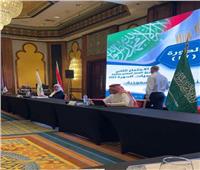 القاهرة تستضيف اجتماعات فريق عمل الدورة السابعة عشر للجنة المصرية السعودية المشتركة