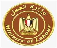 وزارة العمل تقدم فرص للتدريب المهني بالإسكندرية