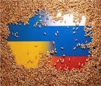 خبير علاقات دولية: المطالب الروسية واضحة للعودة لاتفاقية الحبوب