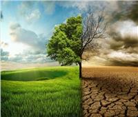 وزيرة البيئة: انتهاج البلدان الأفريقية ممارسات زراعية ذكية مناخيا «ضرورة»