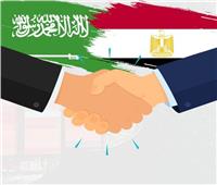 متابعة توصيات الدورة السابعة عشر للجنة المصرية السعودية المشتركة بالقاهرة