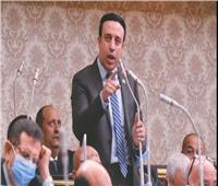 برلماني: مشاركة الرئيس السيسي بقمة العشرين فرصة لعرض تجربة مصر التنموية الواعدة