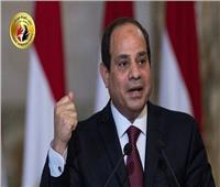 حماة الوطن: نؤيد ترشح الرئيس السيسي لفترة رئاسية جديدة لدعم ركائز الاقتصاد