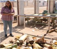 كبسولة| هبة نايل تُؤسس أول مصنع لاستغلال «قشر الموز»