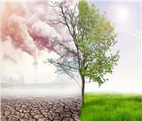 أبو سنة: تحديث قانون البيئة لتهيئة المناخ الداعم للاستثمار البيئي والمناخي