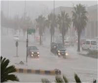 سقوط أمطار على القاهرة والسواحل الشمالية وارتفاع الأمواج   