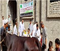 الزراعة: قوافل بيطرية لعلاج ماشية صغار المربين والمزارعين