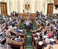 برلماني: دعم مصر للدول العربية دستور راسخ فى عقل القيادة السياسية