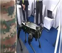 الجيش الهندي يكشف عن «MULE».. كلب آلي يحمي الجنود ويتسلق الجبال والتضاريس الوعرة 