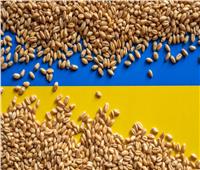 أوكرانيا تعارض أي تمديد للقيود الأوروبية على صادراتها الزراعية