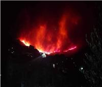 اندلاع حريق هائل بإحدى غابات ولاية بجاية شرق الجزائر