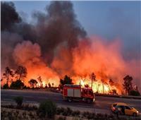 الجزائر.. توقيف الشخص المتسبب في الحرائق بغابات ولاية بجاية