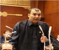 برلماني: مصر من أوائل الدول في تقديم يد العون للمغرب وليبيا 