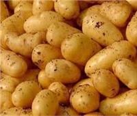 «الزراعة»: البطاطس المصرية تغزو الأسواق الأوربية والروسية والعربية| خاص