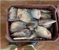 أسعار الأسماك بسوق العبور اليوم 20 سبتمبر
