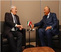 شكري ونظيره الإيطالي يؤكدان أهمية للتعاون الثنائي والتنسيق فى مواجهة الأزمات 