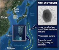 على عمق 29 ألف قدم.. باحثون في الصين يكتشفون فيروسًا جديدًا كامنًا في قاع المحيط  