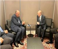 تفاصيل لقاء وزير الخارجية مع رئيس مجلس القيادة الرئاسي اليمني