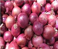 «الزراعة» تكشف أسباب ارتفاع أسعار البصل