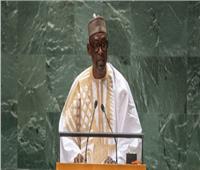 مالي تؤكد أنها لن تقف «مكتوفة الأيدي» حال حصول تدخل عسكري في النيجر