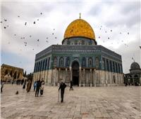 رئيس مركز القدس للدراسات: الحفريات الإسرائيلية تهدد أساس المسجد الأقصى