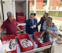 جامعة سوهاج توفر أسماك طازجة للعاملين بأسعار مخفضة