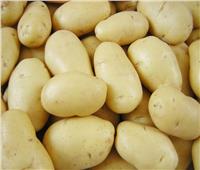 الإحصاء: 259.44 مليون دولار صادرات مصر من البطاطس 