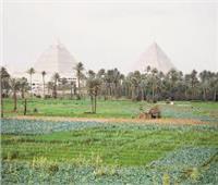 «السياحة الخضراء» فى مصر الجديدة