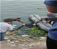 انتشال جثة مجهولة عثر عليها طافية بفرع نهر النيل في مدينة زفتى| صور