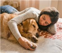 تقليل التوتر والقلق الأبرز.. إيجابيات وسلبيات النوم مع حيوانك الأليف
