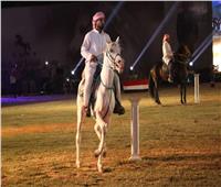 انطلاق فعاليات الدورة الـ 27 لمهرجان الشرقية للخيول العربية