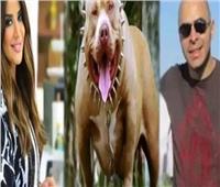 تأجيل محاكمة زوج المذيعة أميرة شنب في واقعة وفاة مدير بنك بسبب «عضة كلب»