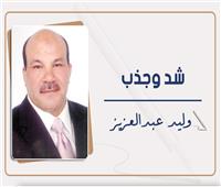 وليد عبدالعزيز يكتب: «مصر السيسي».. دولة جديدة