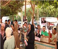 كرنفال ومسيرات حاشدة أمام مكاتب التوثيق لتأييد الرئيس السيسي بالقاهرة| صور