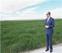 مدير بحوث الأراضي سابقا: السيسي يقود نهضة زراعية غير مسبوقة