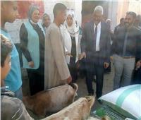 محافظ المنيا: تسليم 75 رأس ماعز و19 ماكينة خياطة لأهالي قرية الحتاحتة