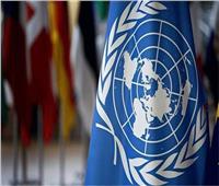 الأمم المتحدة تحتفل باليوم الدولي للترجمة