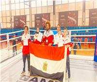 مصر تحصد ميداليتين في بطولة العالم للشباب للفنون القتالية المختلطة MMA باليونان 