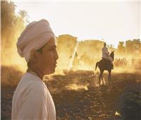ميدان الثقافة| «مرماح الخيول» بالصعيد يبهر السوشيالجية  