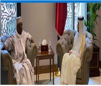 أمين «التعاون الإسلامي» يستقبل رئيس مجلس أمناء الصناديق الإنسانية 