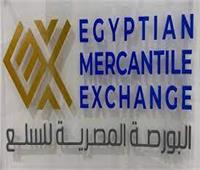 البورصة المصرية للسلع تعقد جلستها الـ 82 اليوم للتداول على القمح المستورد