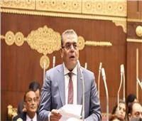 النائب محمود منصور: انتصارات أكتوبر المجيدة أعادت مكانة مصر أمام العالم